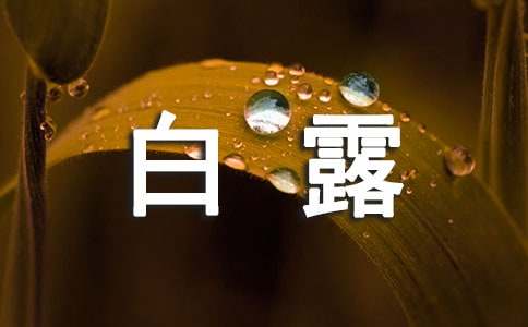 白露节气里应该怎么吃能够养生防病
