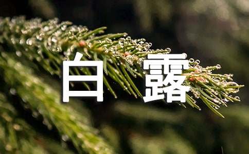 白露养生吃啥对身体好