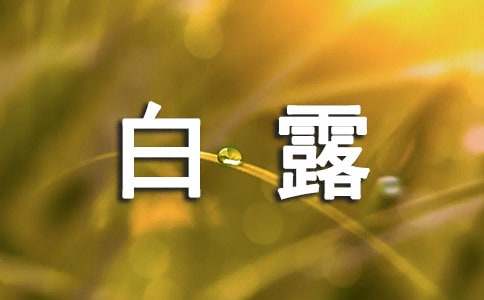 白露养生饮食安排要得当