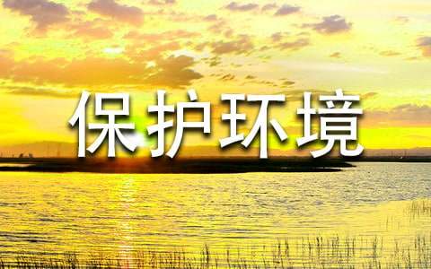 保护环境从我做起作文