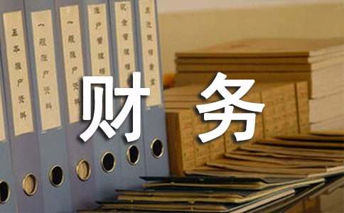 财务人员工作业绩总结