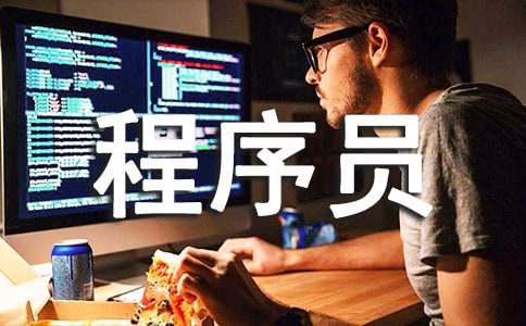程序员工作总结范文3篇