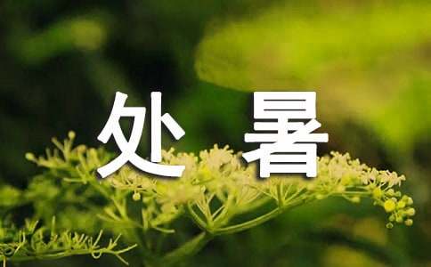 处暑养生诀窍