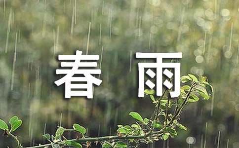 描写春雨动态的句子 