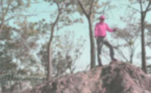 减肥可以登山吗