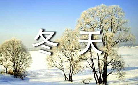 文竹冬天放室内还是室外
