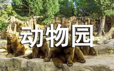 动物园里有什么动物游戏