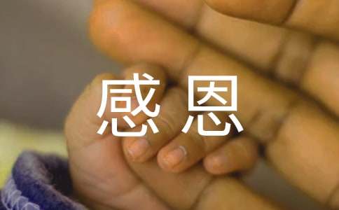 感恩婆婆的话