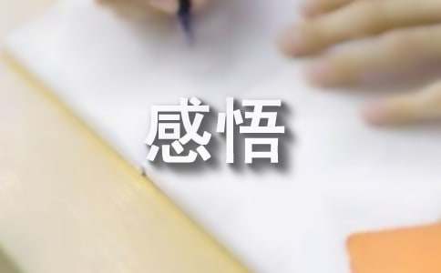 有关感悟的短文章