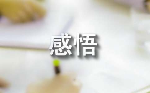 有关最美的你们短文感悟