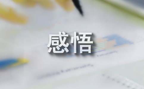 个人收获与感悟