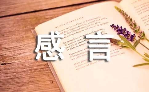 经典感情感言句子大全60句