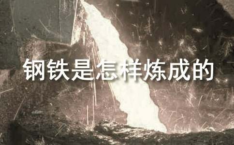 钢铁是怎样炼成的内容概括