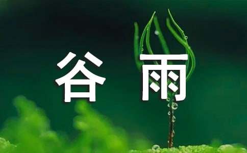 谷雨节气养生吃什么好