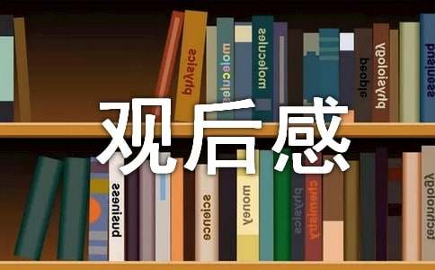 《人民的小康：脱贫攻坚》观后感