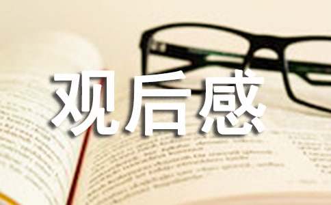 长津湖观后感800字高中生
