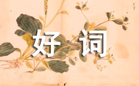 好词好句二年级摘抄集锦