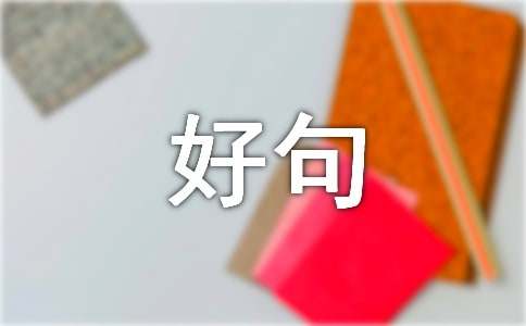 作文参考好句赏析