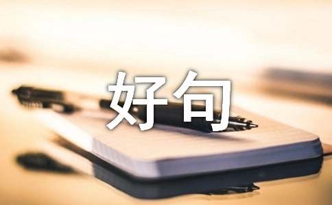 用在作文里的好句子
