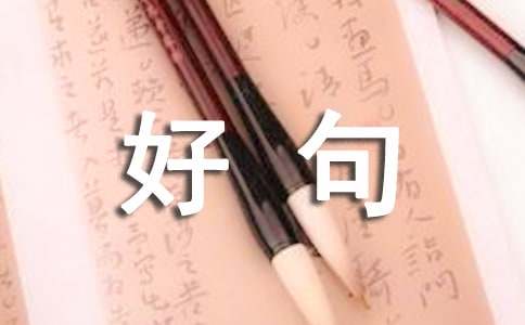 好句摘抄和赏析