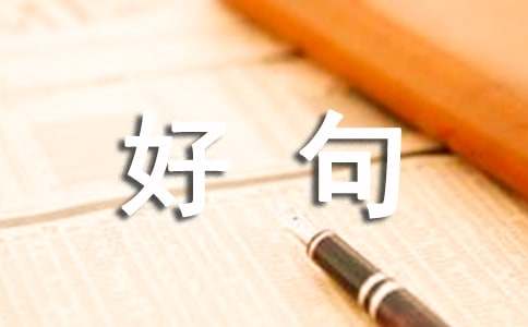 红楼梦好句好段大全