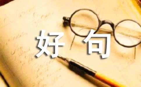 情话最暖心好句摘抄