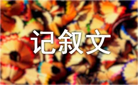 我和书的故事记叙文15篇