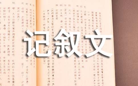 我和汉字的故事记叙文