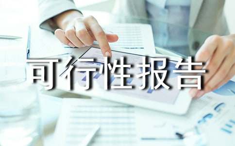 投资学项目可行性报告