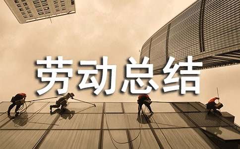大学劳动周个人劳动总结300字