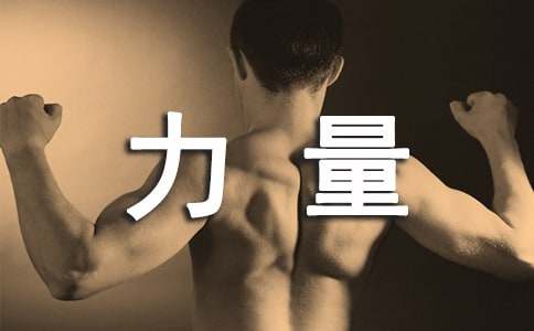 信任的力量美文