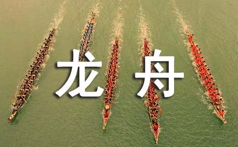 赛龙舟的作文