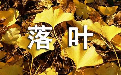 大班语言散文诗—落叶教案