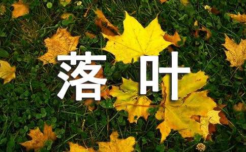 落叶散文