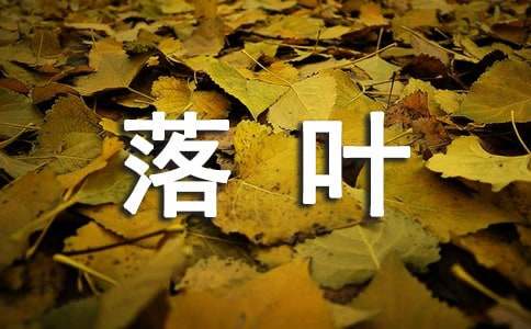 大班语言活动散文落叶教案