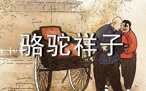 读后感800字高中生骆驼祥子