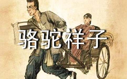 骆驼祥子的读后感