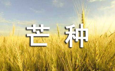 二十四节气中芒种的养生之道