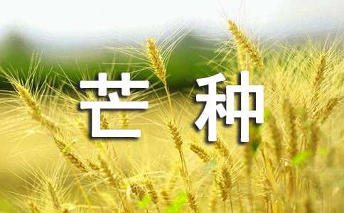 关于芒种养生喝什么茶