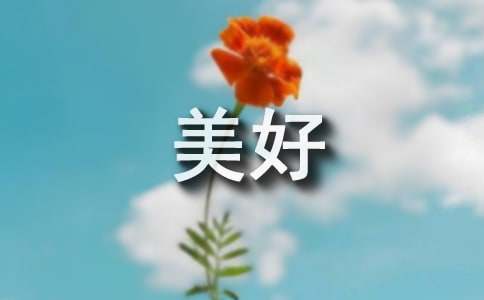 寓意美好的词语