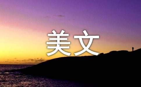 关于哲理美文
