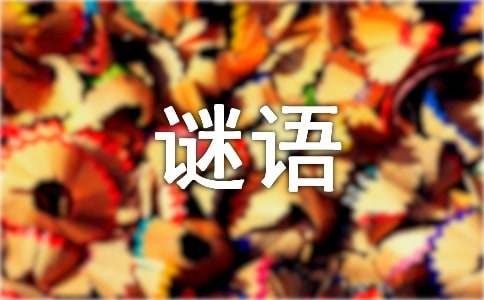 谜语大全儿童10岁