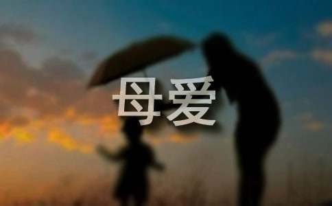 母爱是什么呢