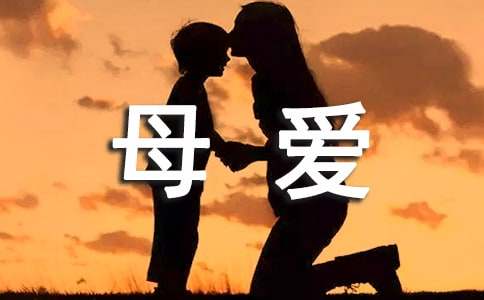 形容母爱的短语