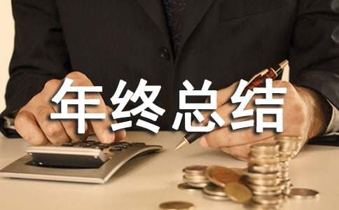 个人年终总结版本