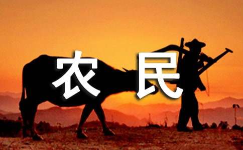 【实用】农民工工资承诺书三篇