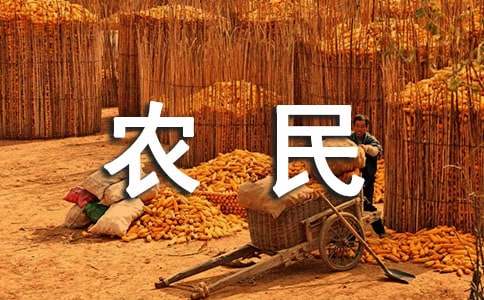 农民工工资承诺书模板汇总七篇