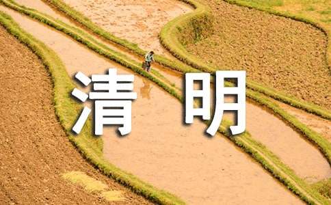 清明节散文随笔