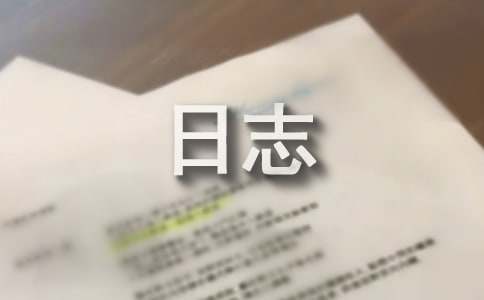 每日工作日志