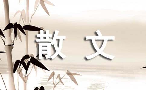 夜来风雨声散文